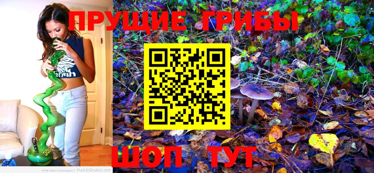 Псилоцибиновые грибы Psilocybine cubensis  Вход с VPN  Киселёвск  Псилоцибиновые грибы Cubensis 